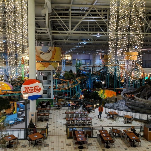 Meet your Posher, Beth - Picture 4 of 4